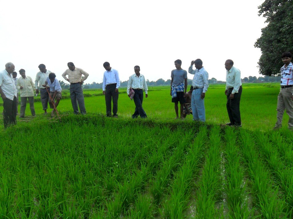 Agriculture