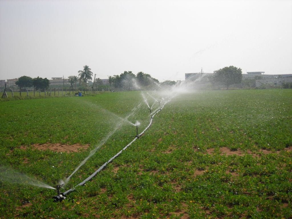Agriculture