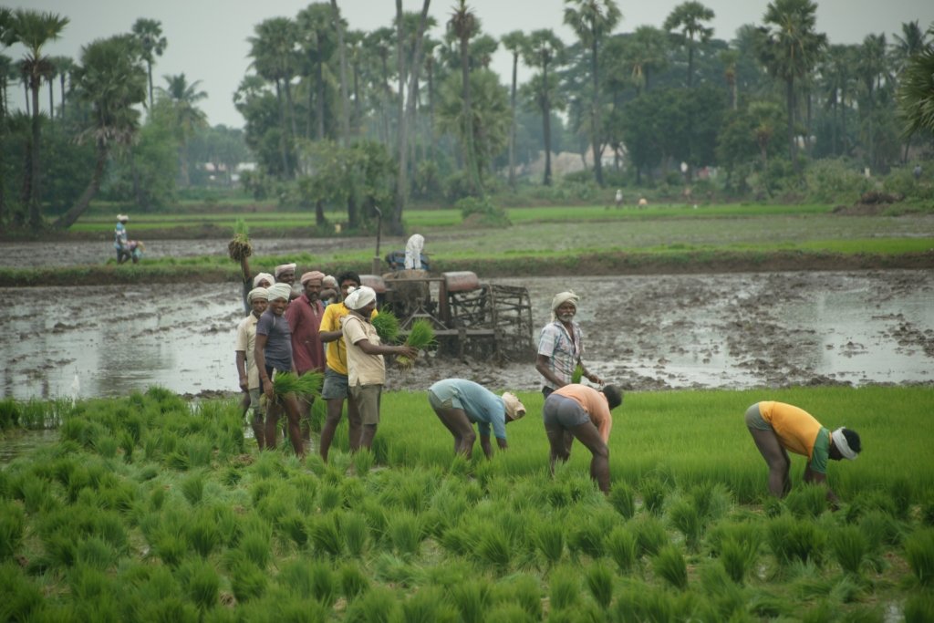 Agriculture