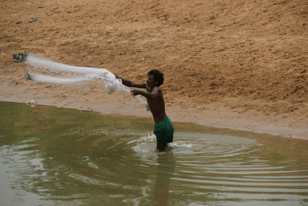 Tribal Livelihood Improvement Initiative