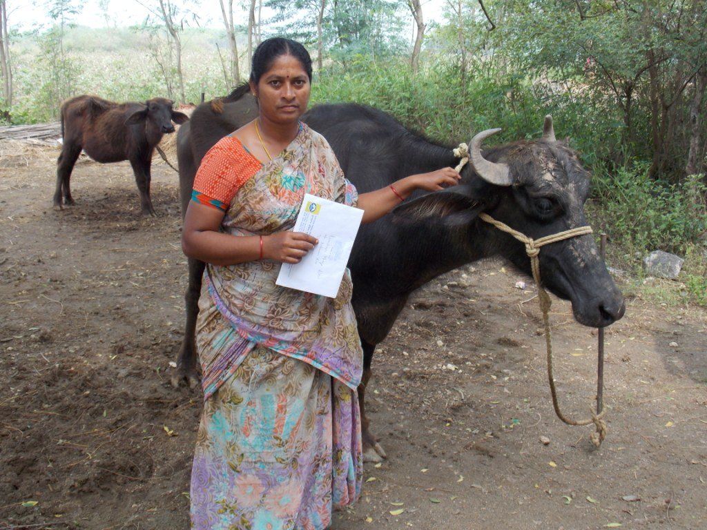 Women's Livelihood and Economic Empowerment
