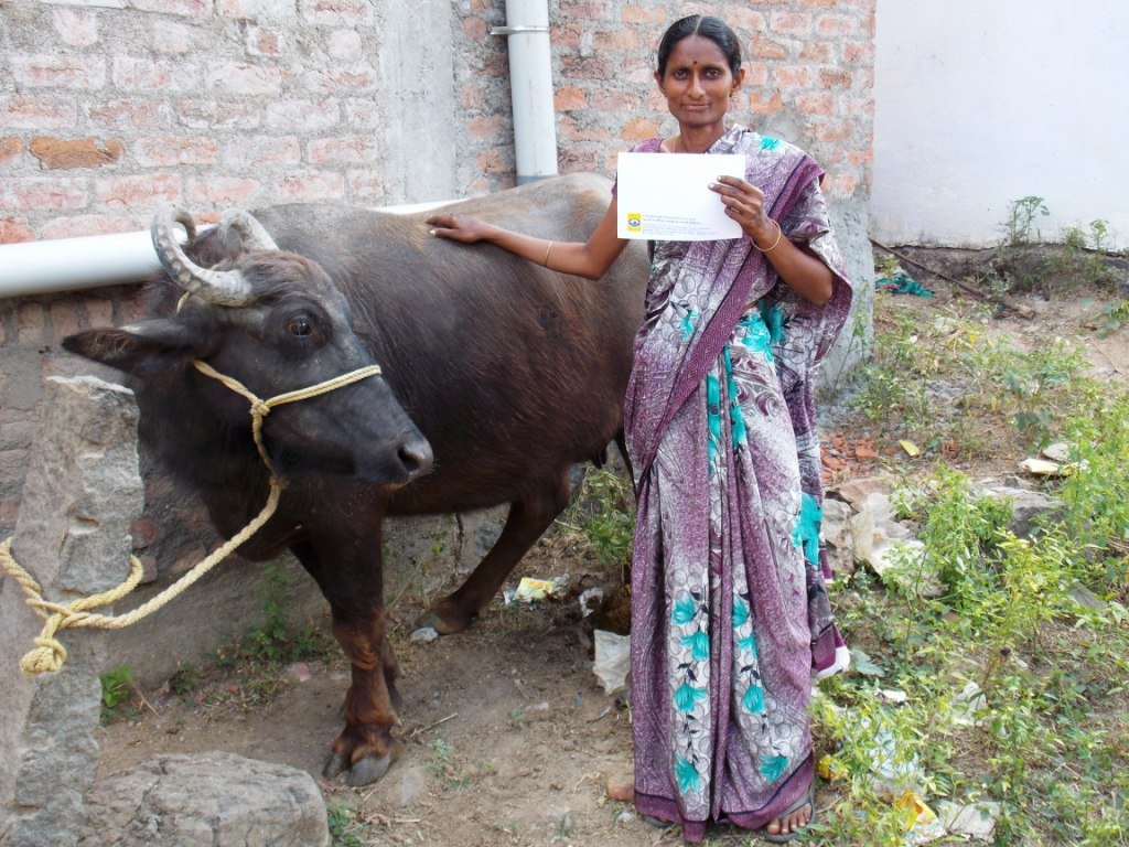 Women's Livelihood and Economic Empowerment