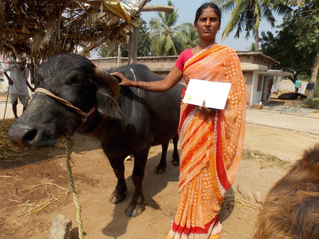 Women's Livelihood and Economic Empowerment