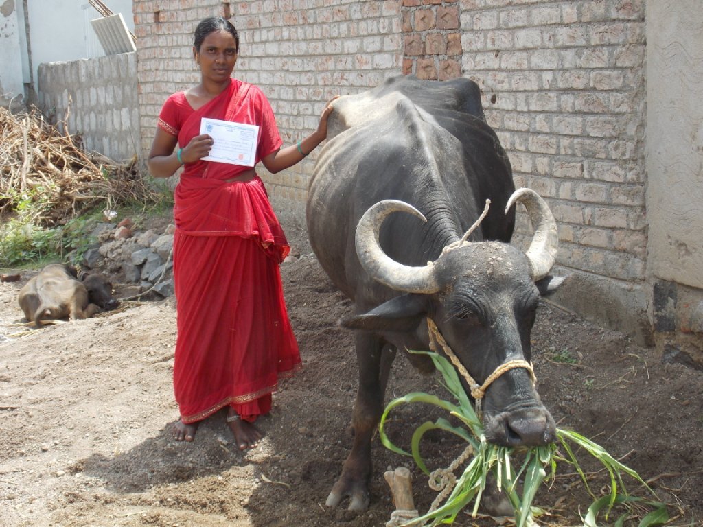 Women's Livelihood and Economic Empowerment