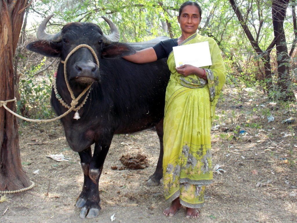 Women's Livelihood and Economic Empowerment